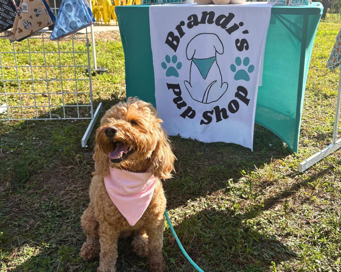 Dog with a pink bandana sitting in front of a 'Brandi's Pup Shop' sign.